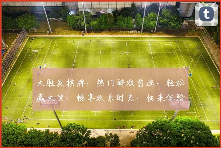 大胜发棋牌，热门游戏首选，轻松赢大奖，畅享欢乐时光，快来体验