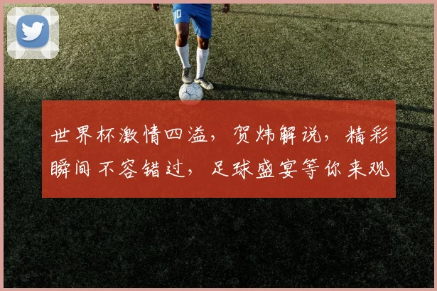 世界杯激情四溢，贺炜解说，精彩瞬间不容错过，足球盛宴等你来观