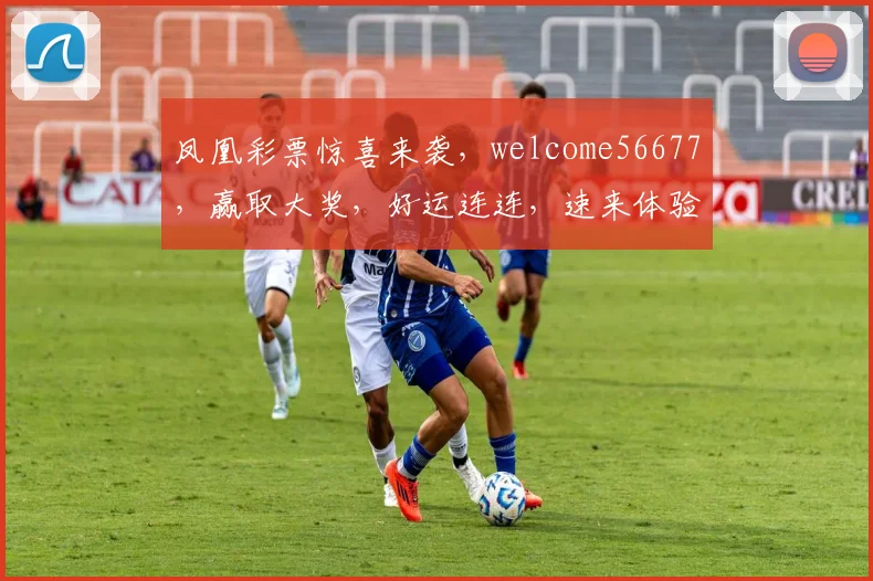 凤凰彩票惊喜来袭，welcome56677，赢取大奖，好运连连，速来体验