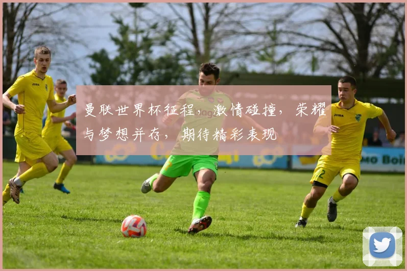 曼联世界杯征程，激情碰撞，荣耀与梦想并存，期待精彩表现
